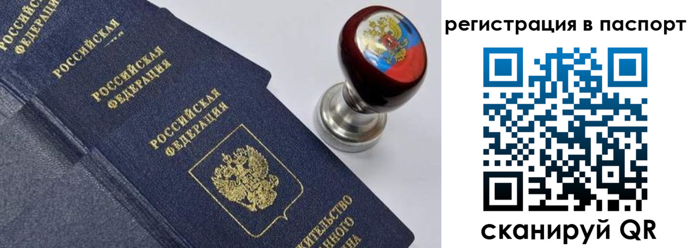 прописка поиск в Новосибирской области